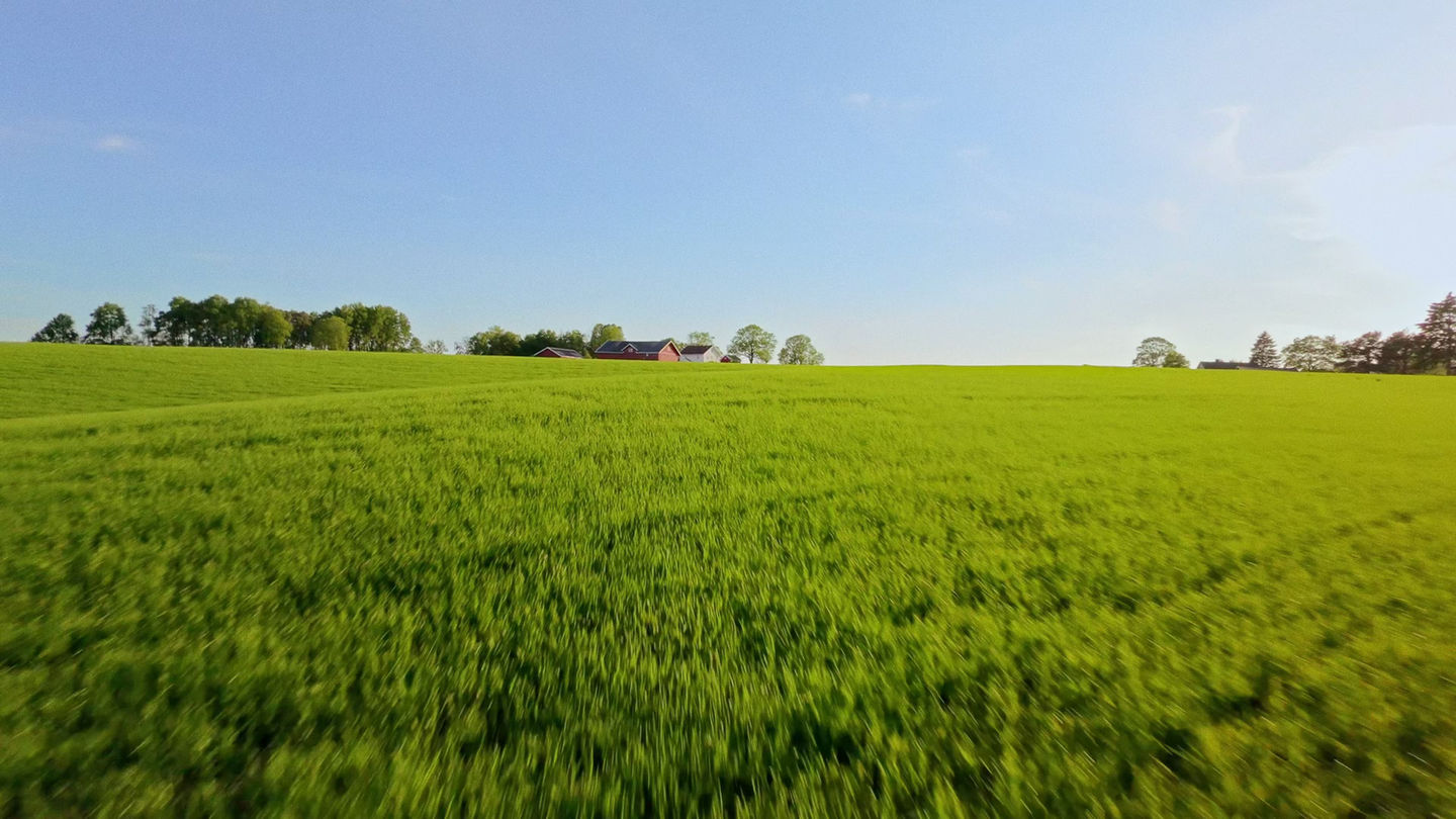 Summer Dreams: Spydeberg